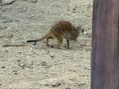-茅山东方盐湖城景区