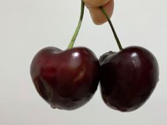 -盒马鲜生(曜一城店)