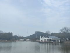 -月湖风景区