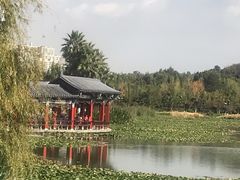 -洛龙公园