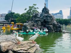 -团结湖公园