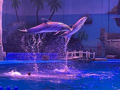 -华夏文旅海洋公园