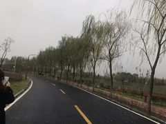 -洨河生态公园