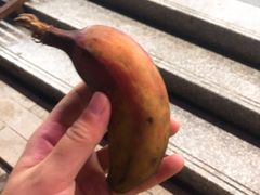 红皮香蕉-林旺社区水果市场