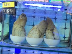 -日照大牌檔•小船海鲜(万平口店)