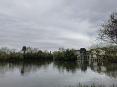 -新荣记(西溪湿地店)