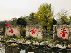 -香雪海