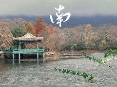 -紫金山山顶公园
