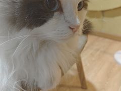 -白兔子密室(长寿路店)