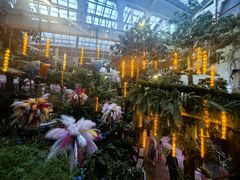 -正佳雨林生态植物园