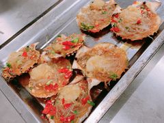 烤扇贝-陈记生蚝烧烤炒菜火锅