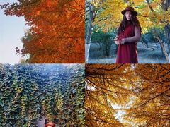 -辽宁大学(崇山校区)