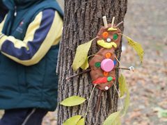 -北京市海淀区锦绣明天莲宝幼儿园