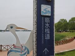 -丁香湖公园