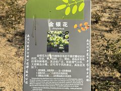 -绿堤公园