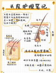 -Bollins波林丝•专研护发中心