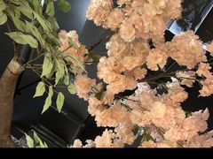 -城墙拐拐火锅(三峡广场黑金冠店)