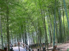 -天目湖山水园
