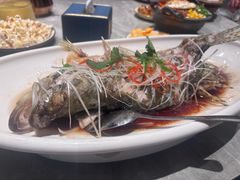 -巴渝菜馆(涿州店)