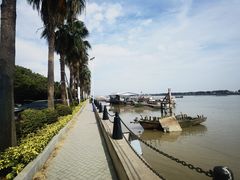 -大湾区中央湿地公园-十九涌