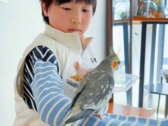 -吉丁鸟咖·异宠·寄养