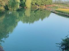 -乌村