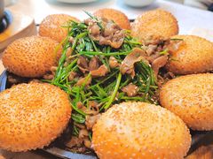 -峨嵋酒家 南北川菜 优选烤鸭(广渠路店)