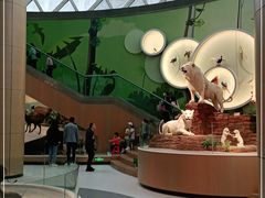 -陕西自然博物馆