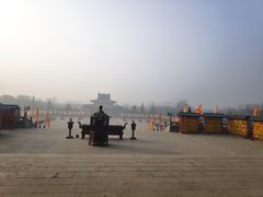 -大槐树寻根祭祖园