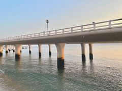 -演武大桥观景平台