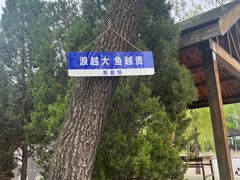 -杨柳青庄园