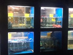 -蓝鲸(国浩路店)