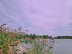 -马家湾湿地公园