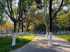 -天鹅湖体育公园