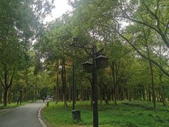 -西溪国家湿地公园