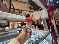 -Vola Gelato意大利手工冰淇淋(朝阳大悦城店)
