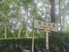 -武汉大学-樱园