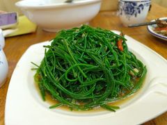 -苗氏卷子鸡(张掖金鸿大厦店)