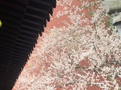 -钱王祠