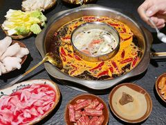 -胖碗火锅(观音桥店)