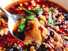 -长春凯悦酒店-品悦中餐厅