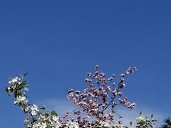 -海棠花溪(元大都城垣遗址公园)