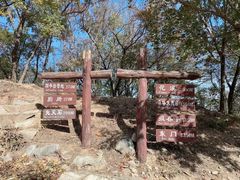 -北京西山国家森林公园