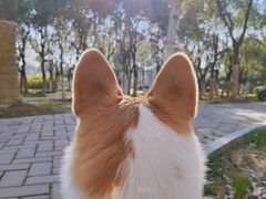 -天鹅湖体育公园