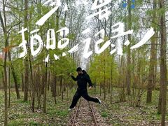 -合肥滨湖国家森林公园