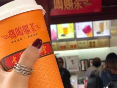-鸡鸣赐茶(鸡鸣寺路店)