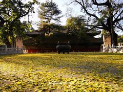 -潭柘寺景区