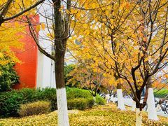 -江南大学(蠡湖校区)
