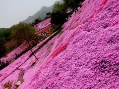 -昆嵛山石门里景区