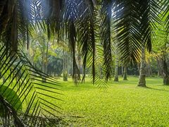-中国科学院西双版纳热带植物园